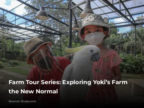 Farm Tour Series: Exploring Yoki’s Farm in the New Normal