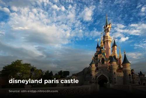 disneyland paris castle