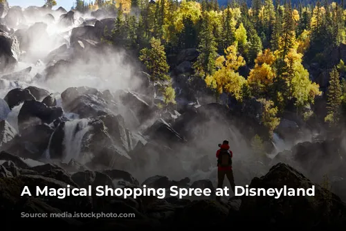 A Magical Shopping Spree at Disneyland Paris