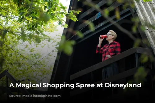 A Magical Shopping Spree at Disneyland Paris