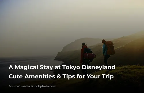 A Magical Stay at Tokyo Disneyland Hotel: Cute Amenities & Tips for Your Trip