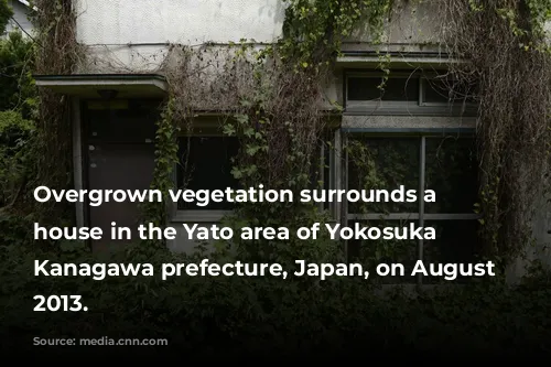 Overgrown vegetation surrounds a vacant house in the Yato area of Yokosuka City, Kanagawa prefecture, Japan, on August 21, 2013.