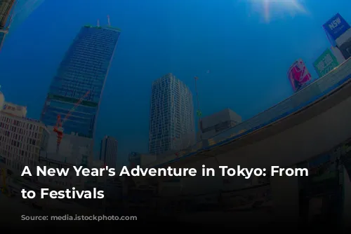 A New Year's Adventure in Tokyo: From Sales to Festivals