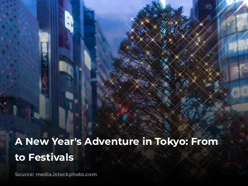 A New Year's Adventure in Tokyo: From Sales to Festivals