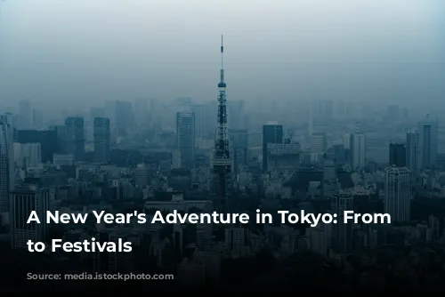 A New Year's Adventure in Tokyo: From Sales to Festivals