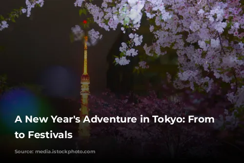 A New Year's Adventure in Tokyo: From Sales to Festivals