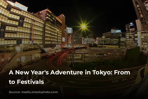 A New Year's Adventure in Tokyo: From Sales to Festivals