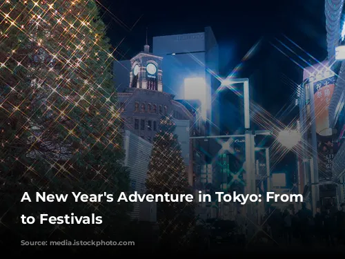 A New Year's Adventure in Tokyo: From Sales to Festivals