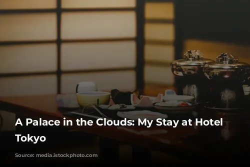 A Palace in the Clouds: My Stay at Hotel Chinzanso Tokyo