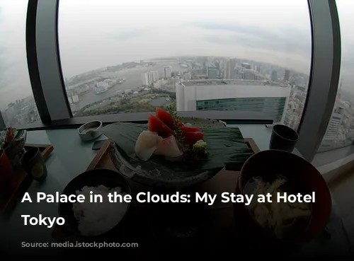 A Palace in the Clouds: My Stay at Hotel Chinzanso Tokyo