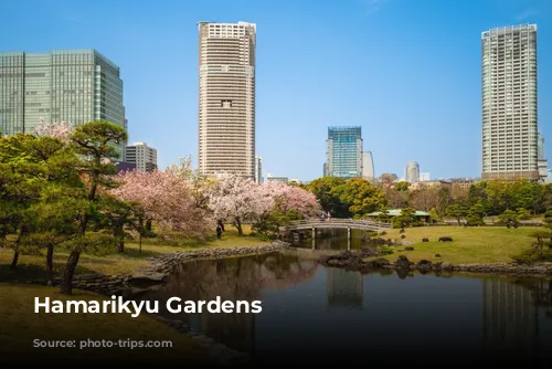 Hamarikyu Gardens