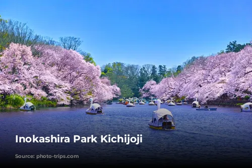 Inokashira Park Kichijoji