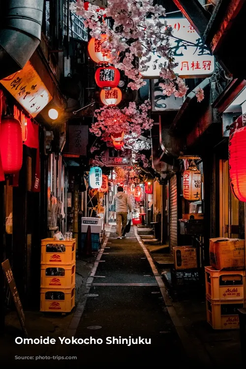 Omoide Yokocho Shinjuku