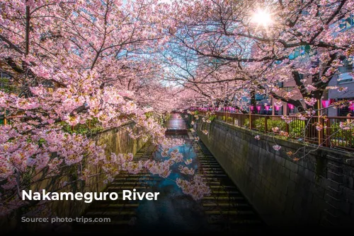 Nakameguro River