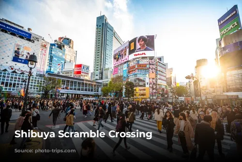 Shibuya Scramble Crossing