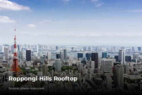 Roppongi Hills Rooftop