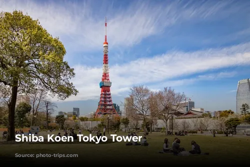 Shiba Koen Tokyo Tower