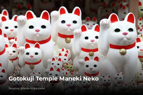 Gotokuji Temple Maneki Neko