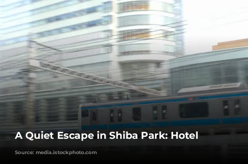 A Quiet Escape in Shiba Park: Hotel Review