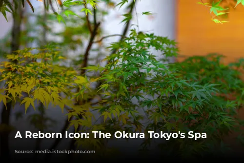 A Reborn Icon: The Okura Tokyo's  Spa Experience