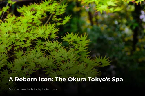 A Reborn Icon: The Okura Tokyo's  Spa Experience