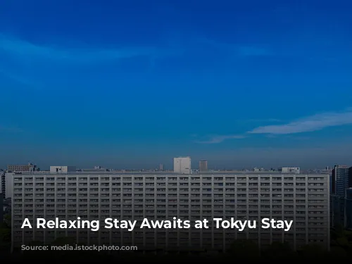 A Relaxing Stay Awaits at Tokyu Stay