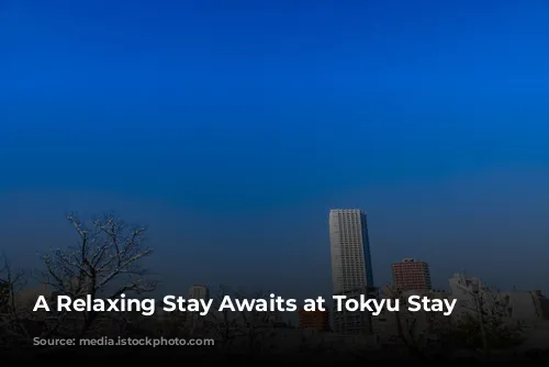 A Relaxing Stay Awaits at Tokyu Stay