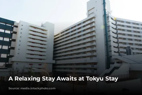 A Relaxing Stay Awaits at Tokyu Stay