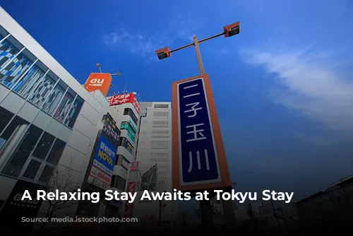 A Relaxing Stay Awaits at Tokyu Stay