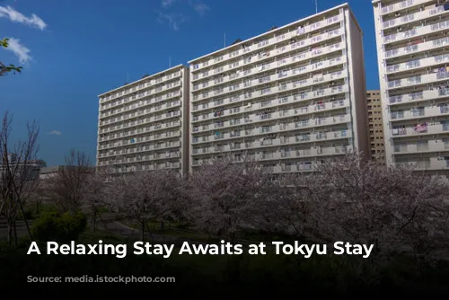 A Relaxing Stay Awaits at Tokyu Stay