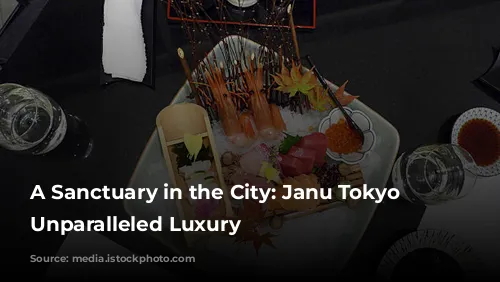 A Sanctuary in the City: Janu Tokyo Offers Unparalleled Luxury