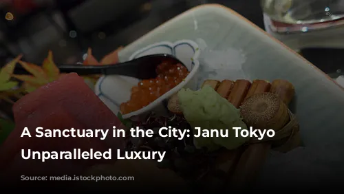 A Sanctuary in the City: Janu Tokyo Offers Unparalleled Luxury