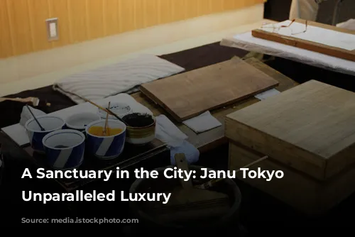 A Sanctuary in the City: Janu Tokyo Offers Unparalleled Luxury