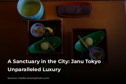 A Sanctuary in the City: Janu Tokyo Offers Unparalleled Luxury