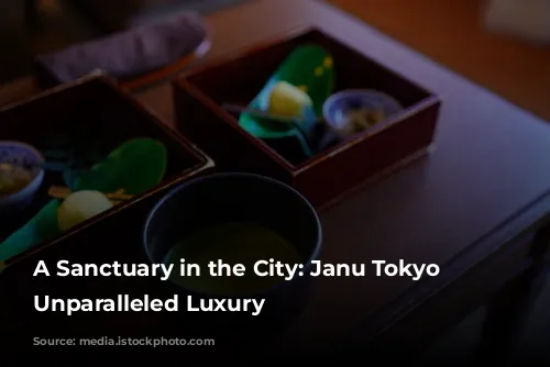 A Sanctuary in the City: Janu Tokyo Offers Unparalleled Luxury