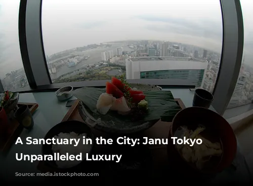 A Sanctuary in the City: Janu Tokyo Offers Unparalleled Luxury