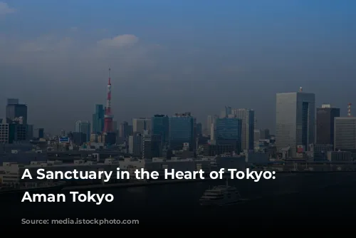 A Sanctuary in the Heart of Tokyo: The Aman Tokyo