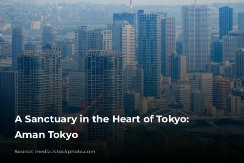 A Sanctuary in the Heart of Tokyo: The Aman Tokyo