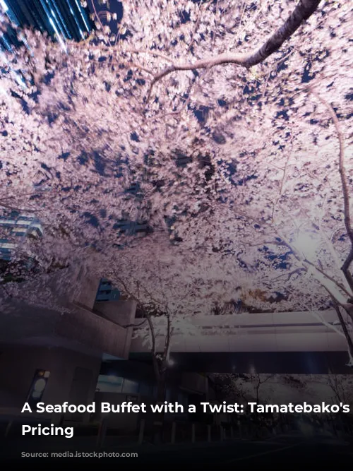 A Seafood Buffet with a Twist: Tamatebako's Two-Tier Pricing