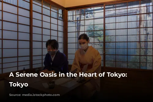 A Serene Oasis in the Heart of Tokyo: Hoshinoya Tokyo