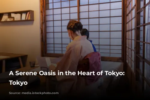 A Serene Oasis in the Heart of Tokyo: Hoshinoya Tokyo