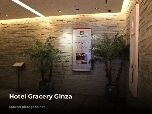 Hotel Gracery Ginza