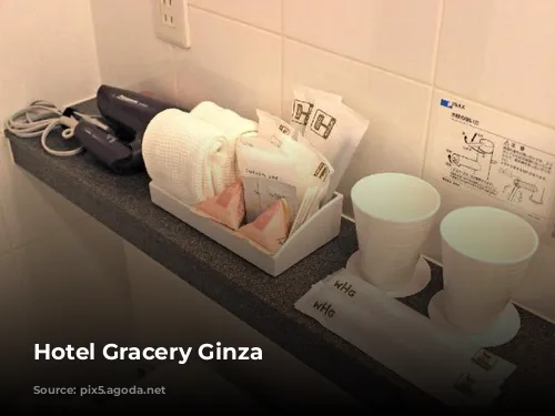 Hotel Gracery Ginza