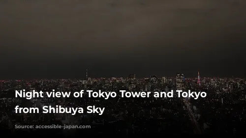 Night view of Tokyo Tower and Tokyo Skytree from Shibuya Sky