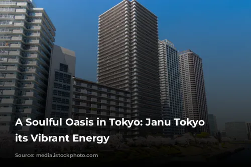 A Soulful Oasis in Tokyo: Janu Tokyo Unveils its Vibrant Energy