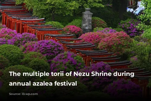 The multiple torii of Nezu Shrine during the annual azalea festival