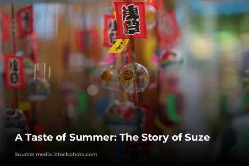 A Taste of Summer: The Story of Suze