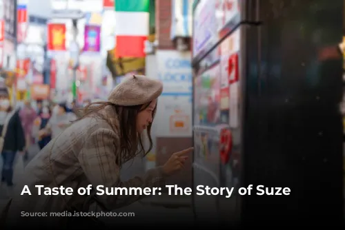 A Taste of Summer: The Story of Suze