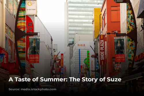 A Taste of Summer: The Story of Suze