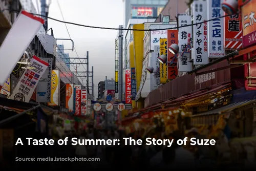 A Taste of Summer: The Story of Suze